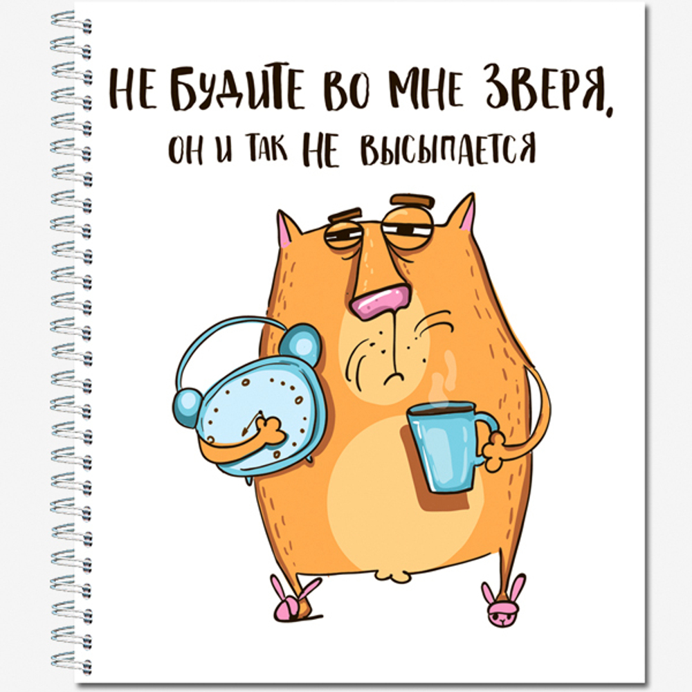 Тетрадь общая 96 листов на металлическом гребне "Кот Крендель"