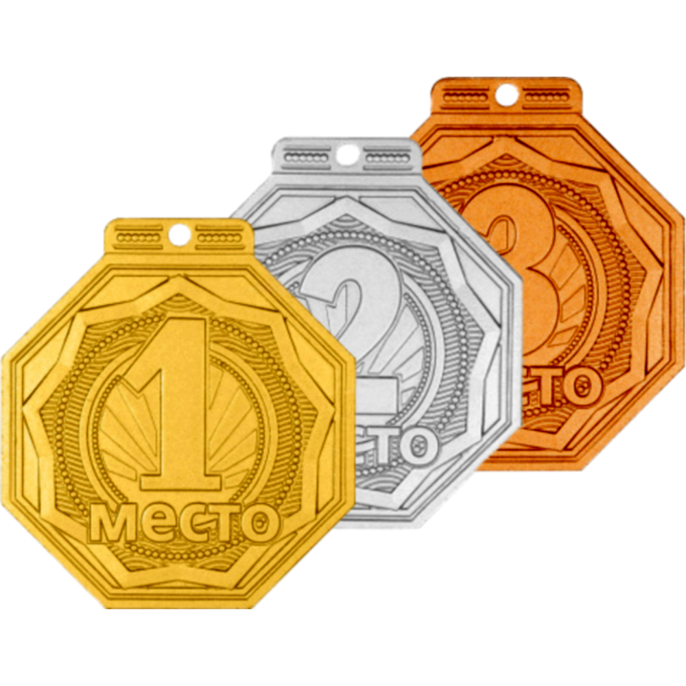 Медаль MZP501-55