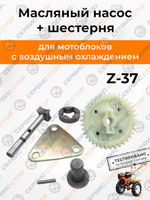 B500-0-186F-RT (2)