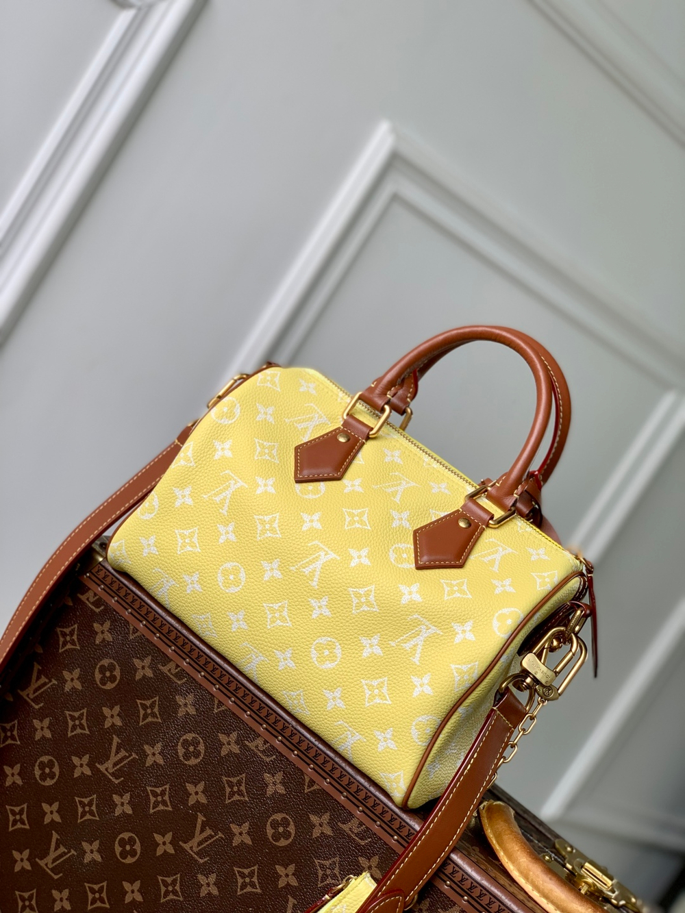 Louis Vuitton Speedy P9 Bandouliere 25