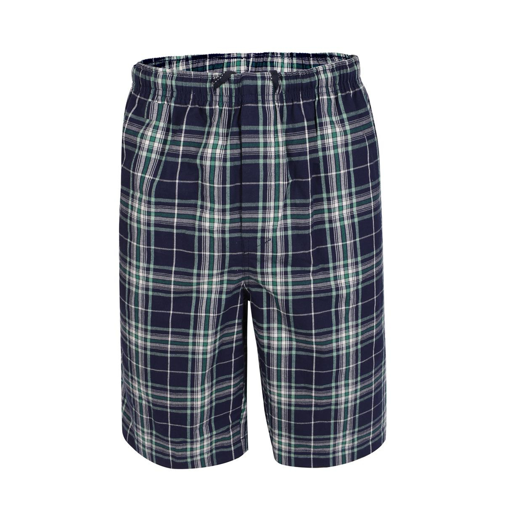 Удлиненные клетчатые мужские шорты (Размер: 4X) (Цвет: синий с зеленым)