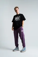 Брюки PPZ Фиолетовые