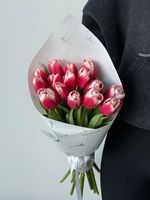 Букет из 15-ти красно-белых тюльпанов