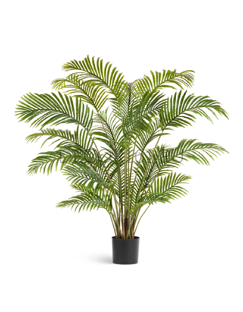 Пальма Арека Хризалидокарпус в-150 см 21 ветка (Sensitive Botanic) 2/2 10.071925N