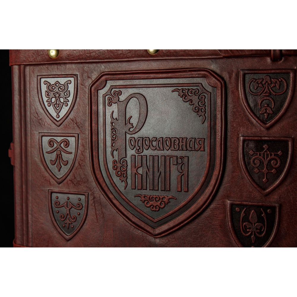 Большая семейная родословная книга "Столетие", натуральная кожа