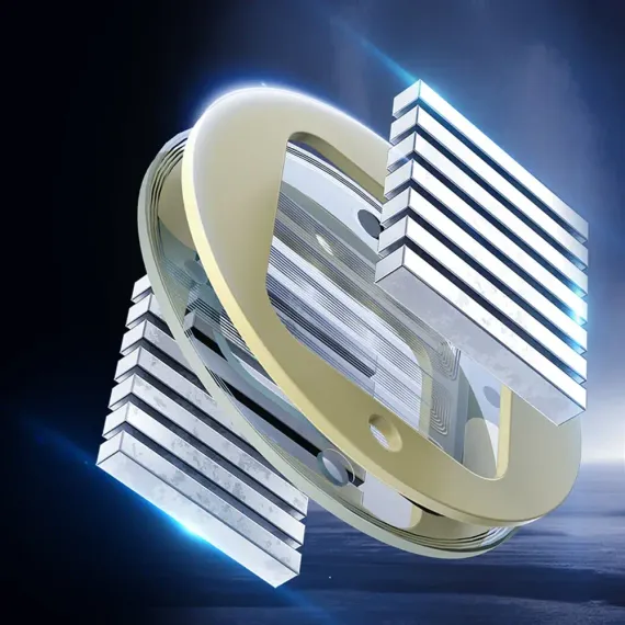 FiiO FP3 Black Walnut