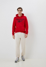 Толстовка мужская REEBOK IDENTITY BIG LOGO FLEECE HOODIE
