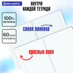Тетради предметные комплект 12 ПРЕДМЕТОВ 48 л. SoftTouch фольга BRAUBERG "ELEGANCE" (2 штуки в упаковке)