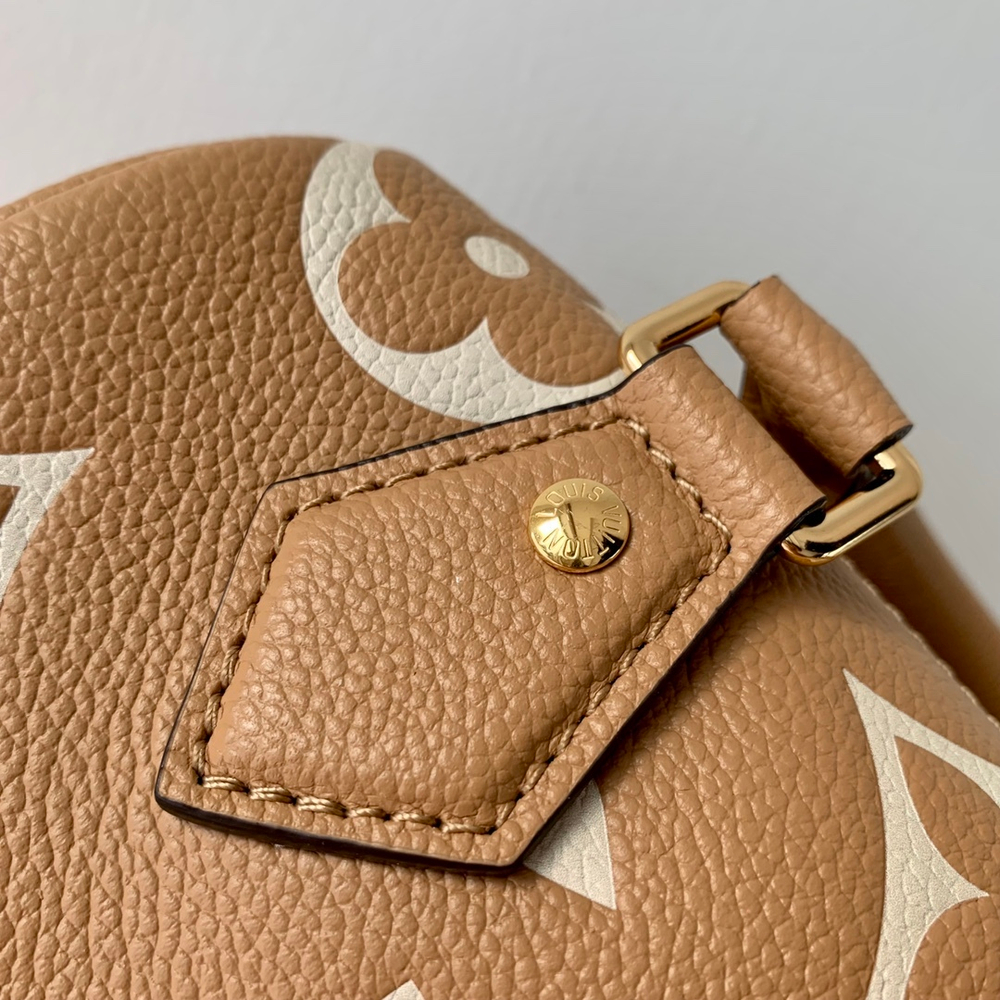 Louis Vuitton Speedy 20