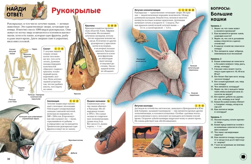 Интерактивная энциклопедия для школьников (нов.оф.*)