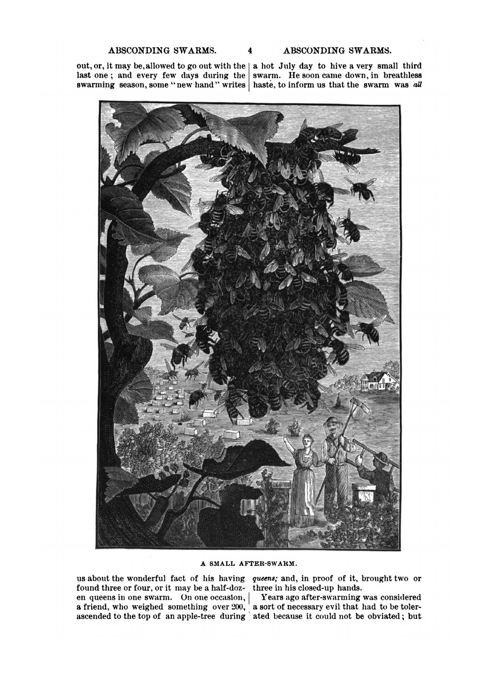 The ABC and XYZ of Bee Culture | A.I. Root