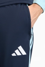 Штаны adidas Argentina 2026 Training - темно-синий