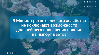 В Министерстве сельского хозяйства не исключают возможности дальнейшего повышения пошлин на импорт цветов