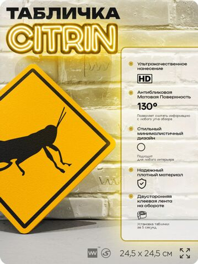 Табличка прикольная "Осторожно, кузнечики" на дверь и стену, информационная и предупреждающая, декоративный знак, 24,5х24,5 см, пластиковая, Айдентика Технолоджи