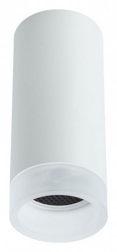 Накладной светильник Arte Lamp A5556PL-1WH