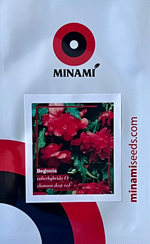 Бегония клубневая Шансон F1 тёмно-красная 20шт.