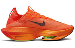Кроссовки Nike Air Zoom Alphafly Next 2