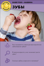 ИГРА. Викторина чемпионов. Человеческое тело. Время играть!