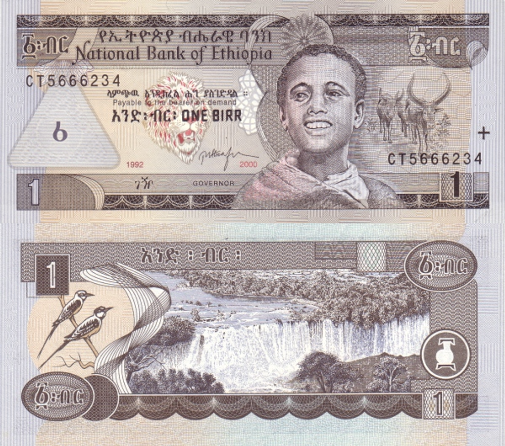 Эфиопия 1 быр 1989-2000 Водопады Тисисат UNC