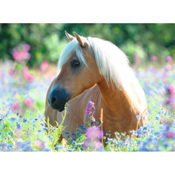Ravensburger - XXL Puzzle Horse 300 деталей 132942