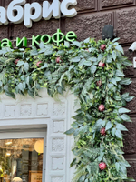 Озеленение входной группы искусственными растениями магазина "Табрис"  г.Краснодар