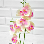 Цветы искусственные в кашпо, керамика/PVC (розово-зеленый с точками)