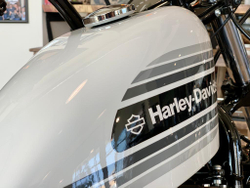 Sportster 1200 Forty-Eight Special (XL1200XS) Harley-Davidson, 2020