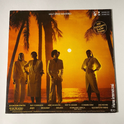 Винтажная виниловая пластинка LP Boney M Бони М Boonoonoonoos (Germany 1981)