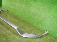 DSCN5421.jpg