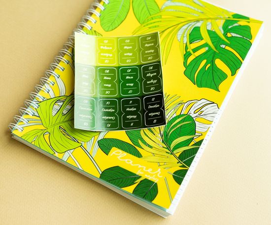 Планер для бьюти мастера №3