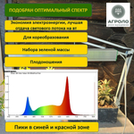 Система выращивания с профессиональной фитолампой АГРОЛО Максимальная, Настольная садовая ферма, Гидропоника