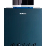 Чугунный газовый котел Buderus Logano G124-20 WS, 8732204647