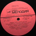 Андрей Мисин / Чужой (LP)
