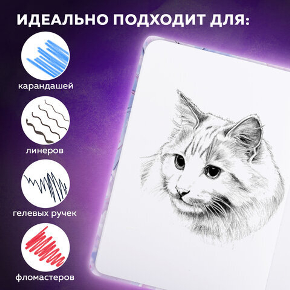 Скетчбук, белая бумага 80г/м 145х203мм, 80л, резинка, твердый, BRAUBERG ART DEBUT, Аниме, 114578