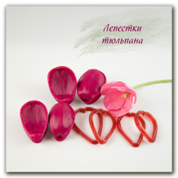 вайнеры и каттеры лепестков тюльпана