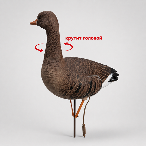 Белолобый гусь Duck Mania "Robot"