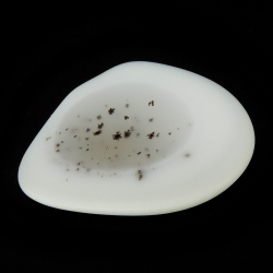 Кахолонг(опал молочный) пластина асс.