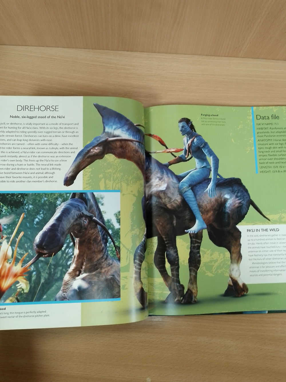 The World of Avatar: A Visual Celebration