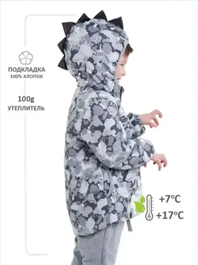 Куртка демисезонная для мальчика осень