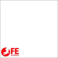 Фон бумажный Falcon Eyes BackDrop 2.72x10 белый 93