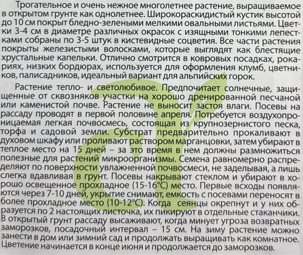 Мезембриантемум Волшебный ковер 0,1 г СМЦ367