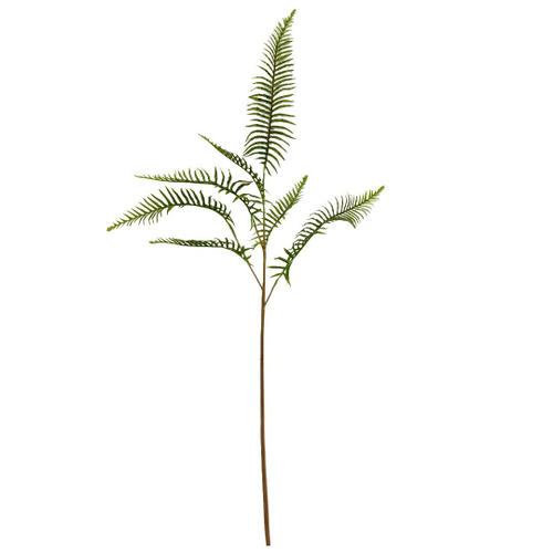 Папоротник остролистный ветка 130 см.