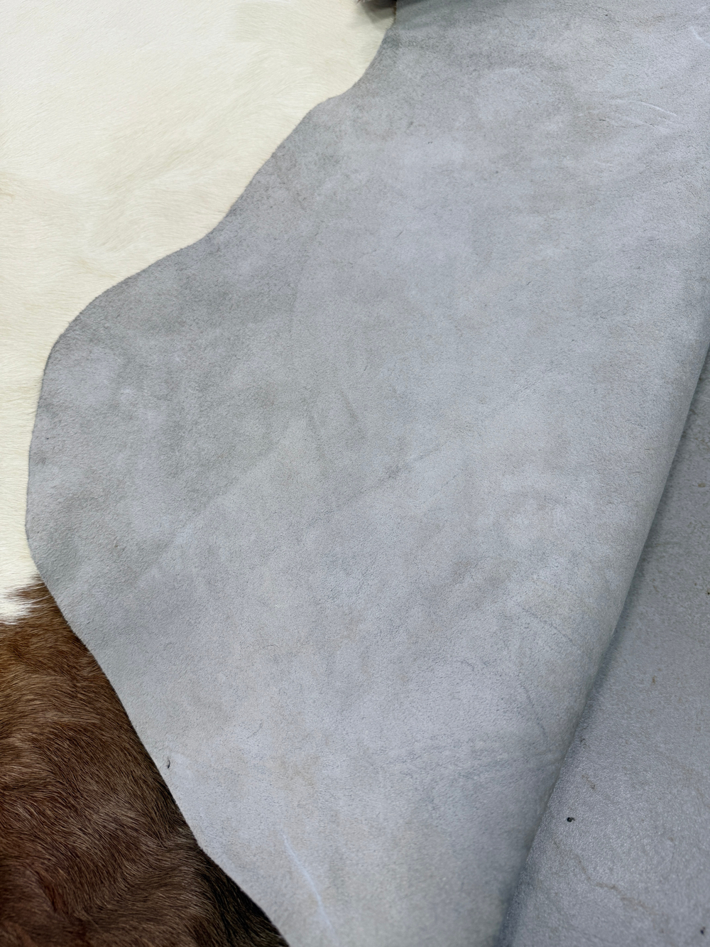 Коровья шкура на пол натуральная. 200 х 190 см