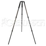 GreenBean VideoMaster 171С