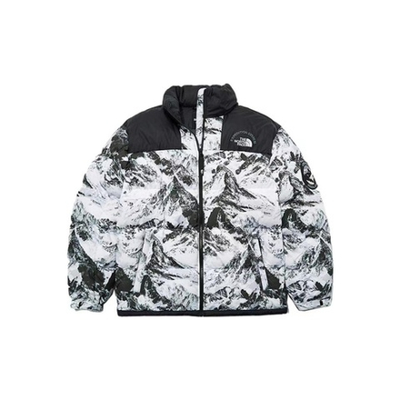 Куртка The North Face Jacket, NJ1DN57A