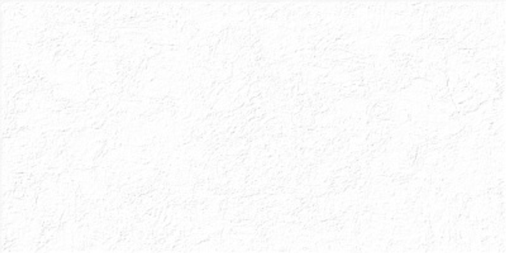 TWU2550MLN10 плитка облицовочная рельефная Miloni 249*500