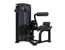 Impulse IT9532 разгибание спины, профессиональный тренажер