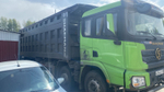 Shacman (Shaanxi) SX* 8x4 Самосвал SX331863366 (Дизельный, 12,5 л, 544 л.с., МТ)