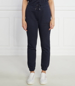 Спортивные штаны Gant - темно-синий(4200709)