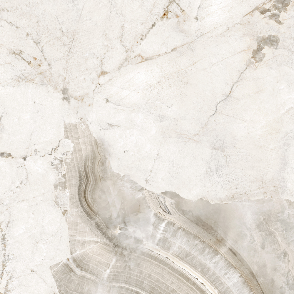 Сишел / Seashell